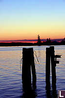 Pilings With Bird Boxes