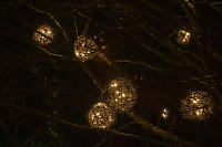 Basket Spheres Lit In Tree