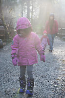 Lens Flare Walking In Goldstream Park