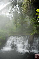 Hot Spring And Palm Trees