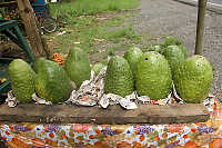 Spikey Fruit