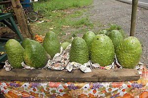 Spikey Fruit