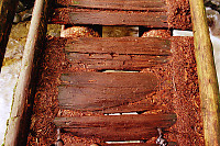 Cedar Stairs