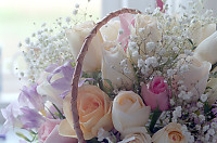 Flower Girls Basket