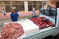 Truck Selling Fruit