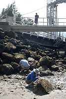 Checking Beaches At Ferry Terminal