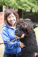 Helen With Dark Alpaca