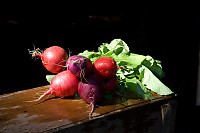 Radishes On Wooden Box