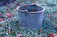 Frosty Bucket