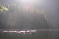 Paddling By In Morning Fog