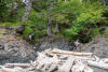 Pulling Bottles Out Of Small Streams