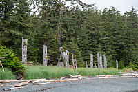 Poles Viewed From Beach