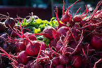 Two Kinds Of Beets