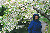 Mom Under Apple Blossoms