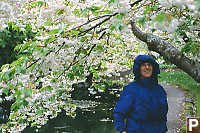 Mom Under Apple Blossoms