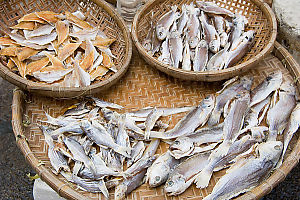 Drying Fish