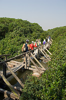 Floating Walkways