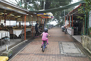 Biking Through Restaurant