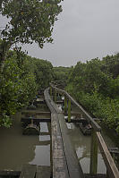 Floating Boardwalk