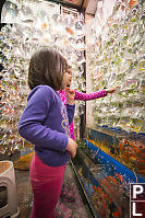 Nara And Claira Looking At Bagged Fish