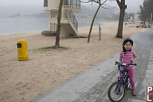 Sandy Foggy Beach