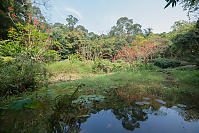 Pond With Shelter