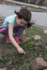 Touching Sensitive Plant