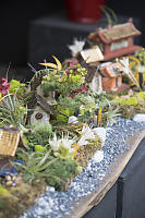 Miniature Village Ikebana