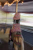 Nara Riding Carousel