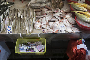 Change Basket At Fishmonger