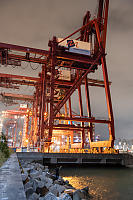 Cranes On Tsing Yi