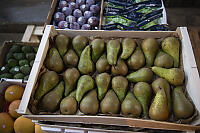 Concorde Pears