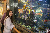 Fishtank At Airport