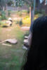 Previous