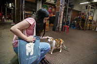 Claira With Friendly Cat