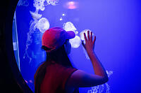 Claira With Striped Jellyfish