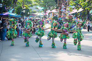 Row Of Forest Performers