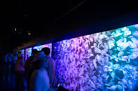 Walls Of Moon Jellies
