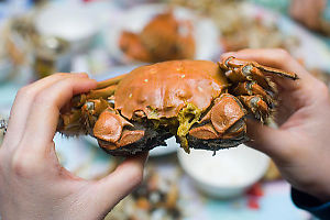 Cooked Crab