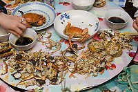 Destroyed Crabs