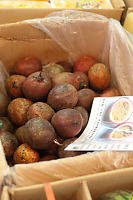 Box Of Passion Fruit