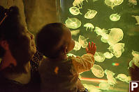 Claira And The Jellyfish