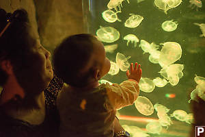 Claira And The Jellyfish
