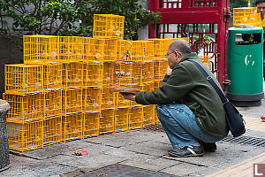 Man Socializing His Bird