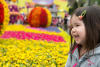 Nara With Flowers In The Background