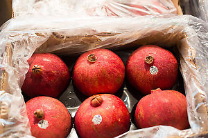 Six Pomegranate