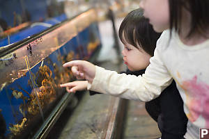 Both Kids With Crabs