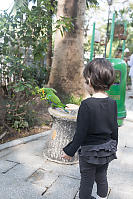 Claira Looking At Eclectus Parrot