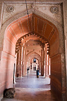 Sections Of Mosque