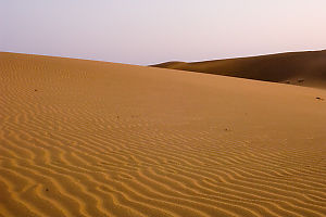 Sand Dunes In Sunset